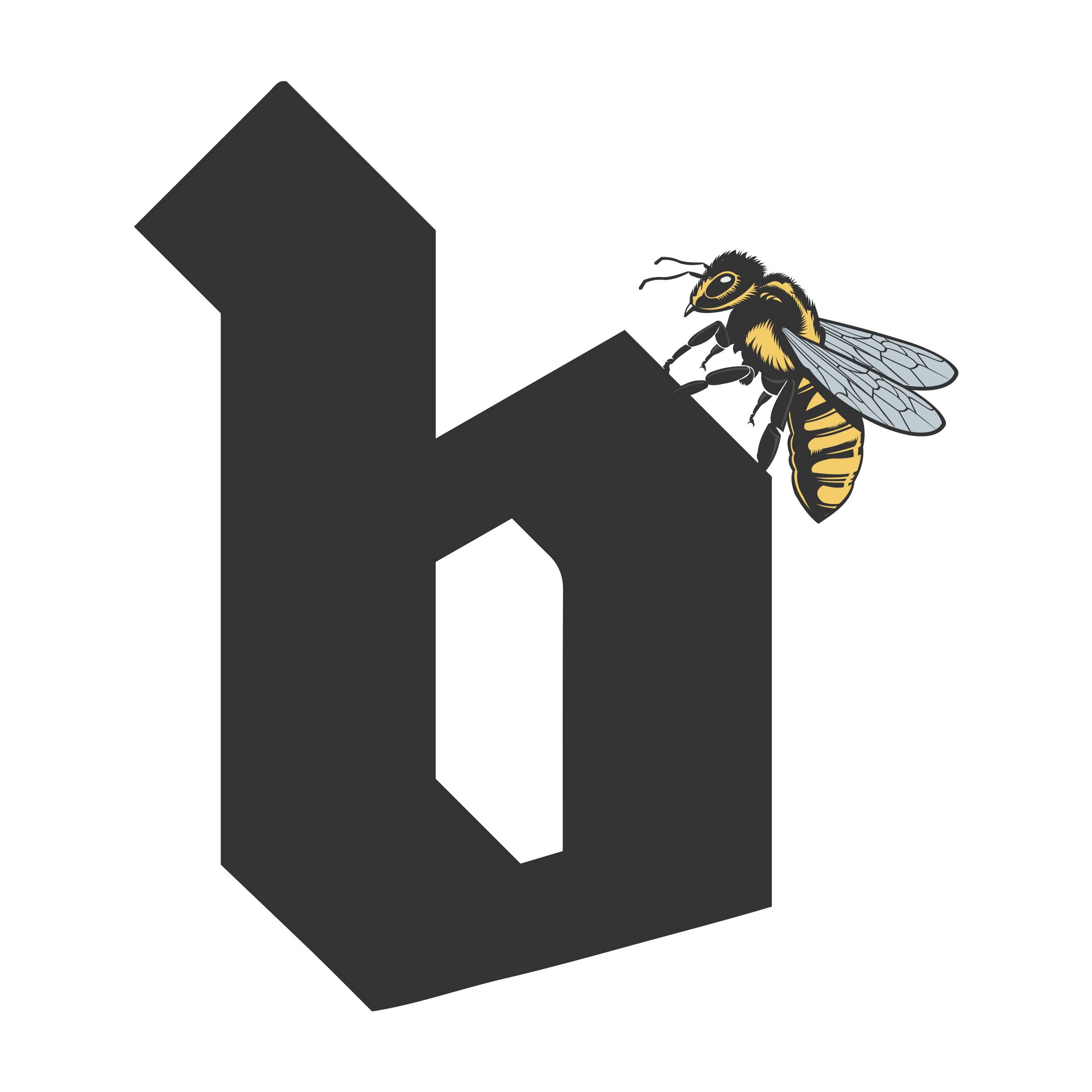 B. Lifestyle Co.